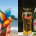 Kingfisher beer price list India 2025 - Delhi ₹160