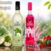 Magic Moments Price in Punjab