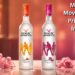 Magic Movement Price in India