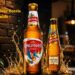 Kingfisher Beer Bottle ML Guide